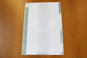 O modelo de papel sugerido pela Anoreg-RJ, que contém 12 elementos de segurança. Entre eles: holografia, marca d'água no formato do Estado do Rio de Janeiro e numeração sequencial