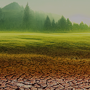 Ao fundo imagem de vegetação verde, à frente leito de um rio seco. Ao fundo imagem de vegetação verde, à frente leito de um rio seco.